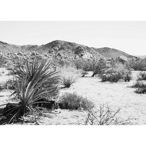 Road Trip II Crop Black Modern Wood Framed Art Print with Double Matting by Urquhart, Elizabeth