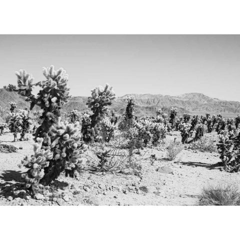 Road Trip III Crop White Modern Wood Framed Art Print by Urquhart, Elizabeth