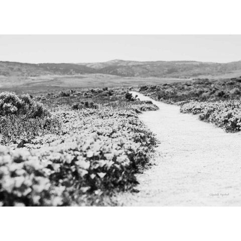 Road Trip VI Crop White Modern Wood Framed Art Print by Urquhart, Elizabeth