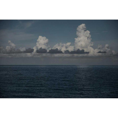 Into the Deep I Black Modern Wood Framed Art Print with Double Matting by Urquhart, Elizabeth