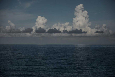 Into the Deep I White Modern Wood Framed Art Print with Double Matting by Urquhart, Elizabeth