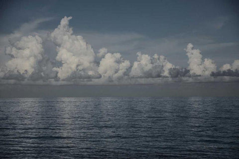 Into the Deep II Black Ornate Wood Framed Art Print with Double Matting by Urquhart, Elizabeth