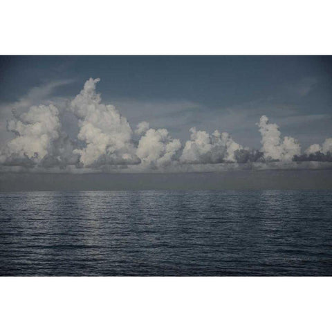 Into the Deep II White Modern Wood Framed Art Print by Urquhart, Elizabeth