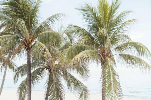 By the Sea II White Modern Wood Framed Art Print with Double Matting by Urquhart, Elizabeth