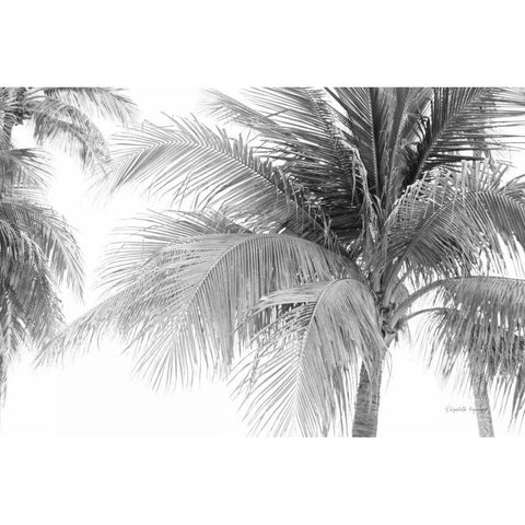 Breezy III Black Modern Wood Framed Art Print by Urquhart, Elizabeth