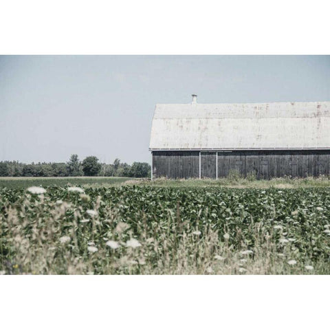 Weathered I White Modern Wood Framed Art Print by Urquhart, Elizabeth