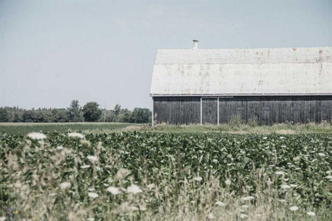 Weathered I White Modern Wood Framed Art Print with Double Matting by Urquhart, Elizabeth