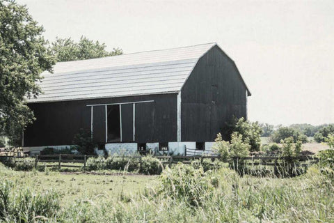 Weathered II White Modern Wood Framed Art Print with Double Matting by Urquhart, Elizabeth