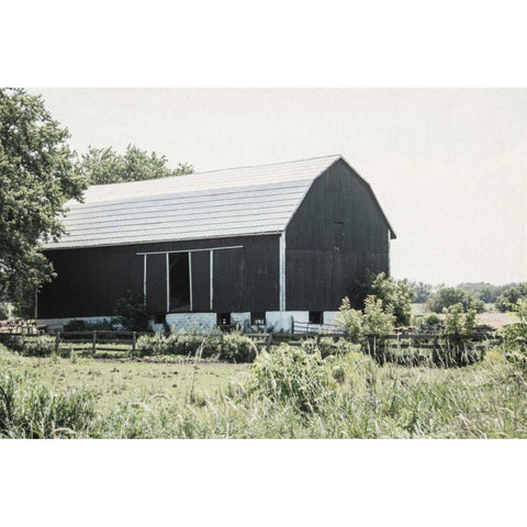 Weathered II Black Modern Wood Framed Art Print by Urquhart, Elizabeth