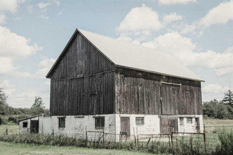 Weathered IV White Modern Wood Framed Art Print with Double Matting by Urquhart, Elizabeth