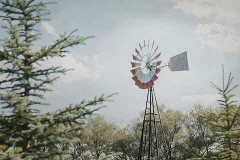 Sun Drenched I White Modern Wood Framed Art Print with Double Matting by Urquhart, Elizabeth