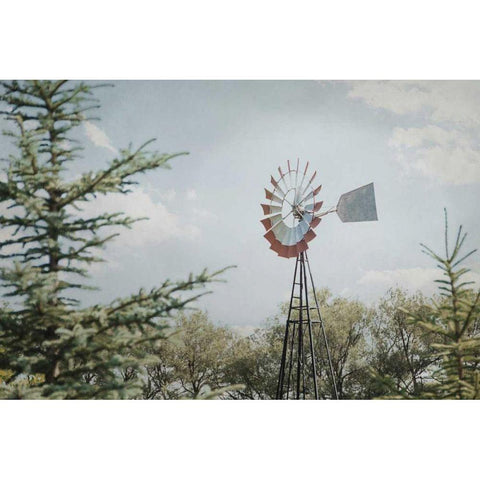 Sun Drenched I Black Modern Wood Framed Art Print by Urquhart, Elizabeth