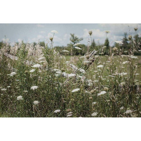 Sun Drenched III Gold Ornate Wood Framed Art Print with Double Matting by Urquhart, Elizabeth