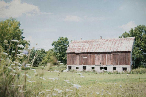 Sun Drenched IV Black Ornate Wood Framed Art Print with Double Matting by Urquhart, Elizabeth