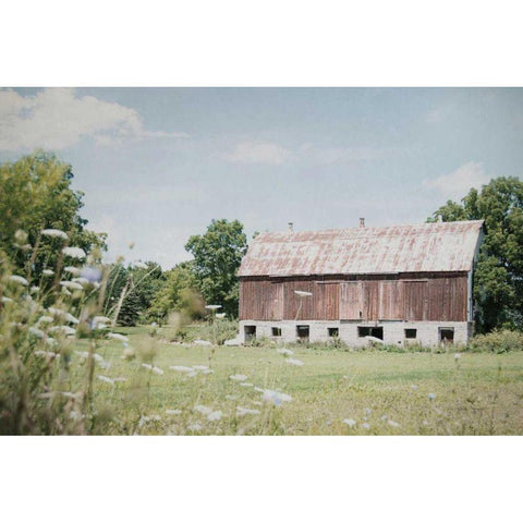 Sun Drenched IV Black Modern Wood Framed Art Print with Double Matting by Urquhart, Elizabeth