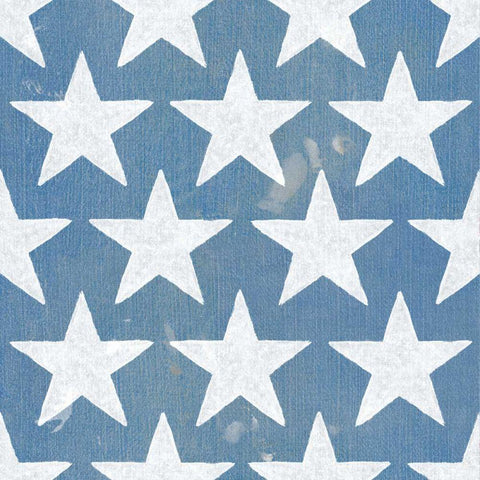 Stars and Stripes Dark Pattern V Black Ornate Wood Framed Art Print with Double Matting by Grove, Beth