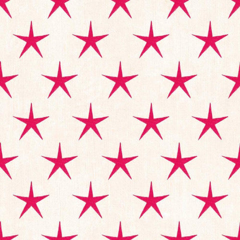 Stars and Stripes Dark Pattern IXB Black Ornate Wood Framed Art Print with Double Matting by Grove, Beth