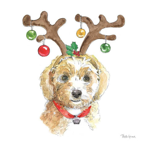Holiday Paws VI on White Black Modern Wood Framed Art Print by Grove, Beth