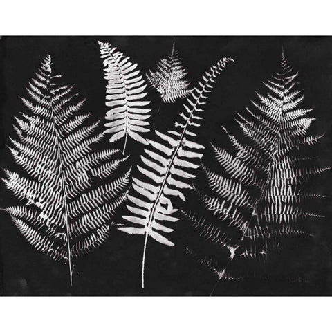 Nature by the Lake Ferns I Black Crop Gold Ornate Wood Framed Art Print with Double Matting by Rhue, Piper