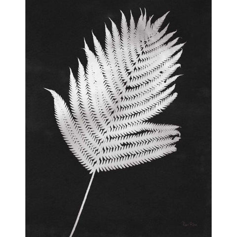 Nature by the Lake Ferns III Black Crop White Modern Wood Framed Art Print by Rhue, Piper