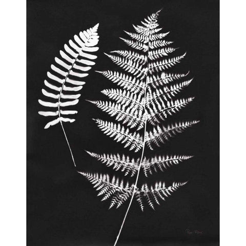 Nature by the Lake Ferns V Black Crop Gold Ornate Wood Framed Art Print with Double Matting by Rhue, Piper