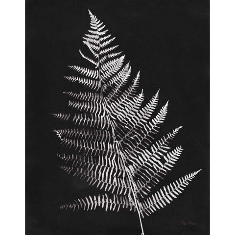 Nature by the Lake Ferns VI Black Crop Black Modern Wood Framed Art Print by Rhue, Piper