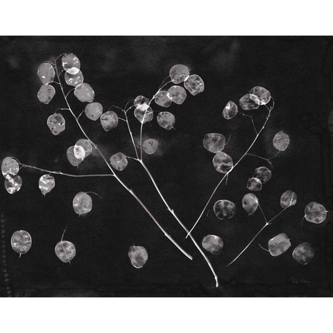 Nature by the Lake Honesty Black Crop White Modern Wood Framed Art Print by Rhue, Piper