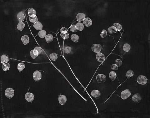 Nature by the Lake Honesty Black Crop White Modern Wood Framed Art Print with Double Matting by Rhue, Piper