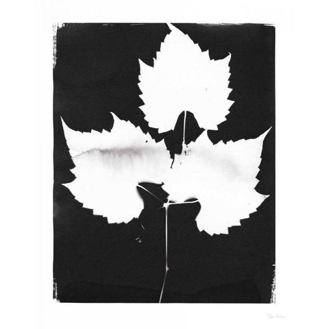 Nature by the Lake Leaves I Black Black Modern Wood Framed Art Print by Rhue, Piper