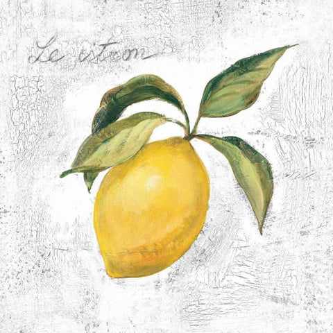 Le Citron on White White Modern Wood Framed Art Print with Double Matting by Vassileva, Silvia