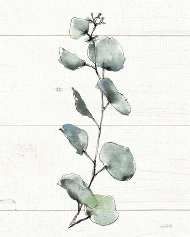 Modern Famhouse XV v2 Black Ornate Wood Framed Art Print with Double Matting by Tavoletti, Anne