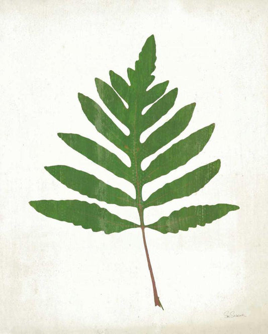 Image Only