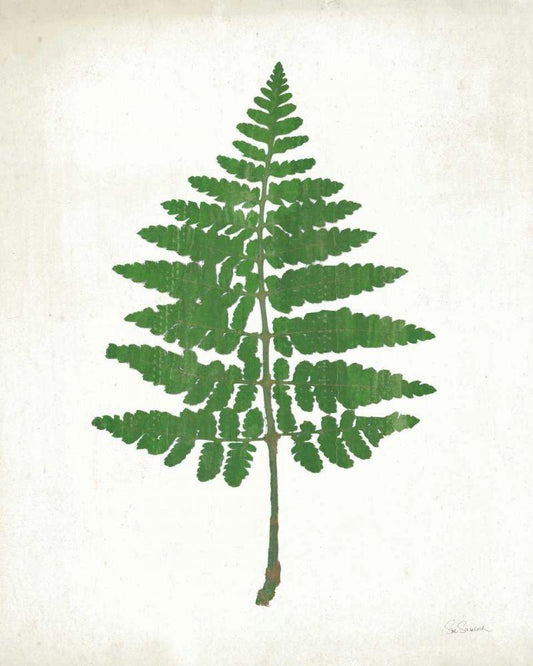Image Only