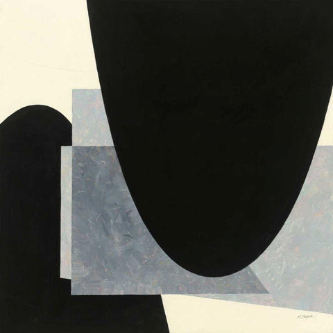 Blackbird Black Modern Wood Framed Art Print with Double Matting by Schick, Mike