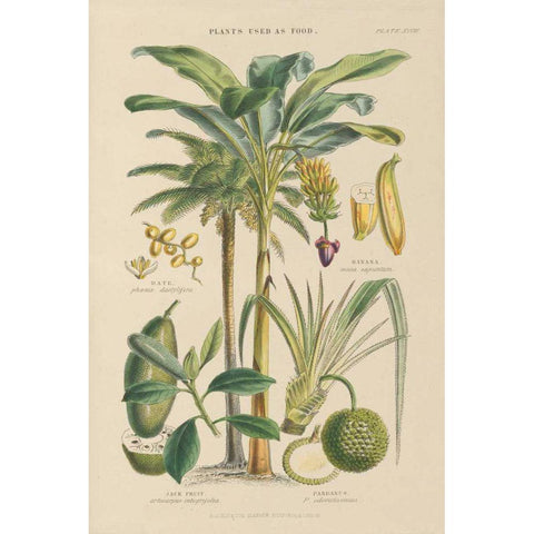 Fruit Trees Gold Ornate Wood Framed Art Print with Double Matting by Wild Apple Portfolio