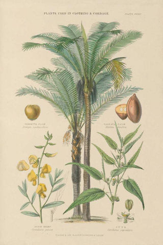 Industrial Trees White Modern Wood Framed Art Print with Double Matting by Wild Apple Portfolio