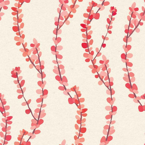Succulent Pattern IIIA White Modern Wood Framed Art Print by Wild Apple Portfolio
