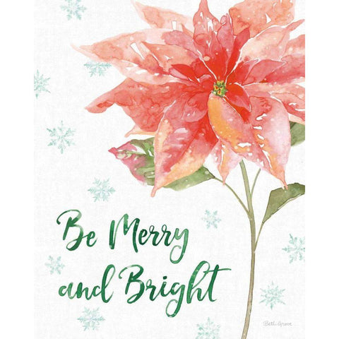 Holiday Flora VI Black Modern Wood Framed Art Print with Double Matting by Grove, Beth