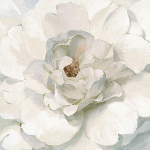 Neutral Peony White Modern Wood Framed Art Print with Double Matting by Nai, Danhui