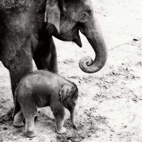 Mother and Daughter Black Ornate Wood Framed Art Print with Double Matting by Van Swearingen, Debra