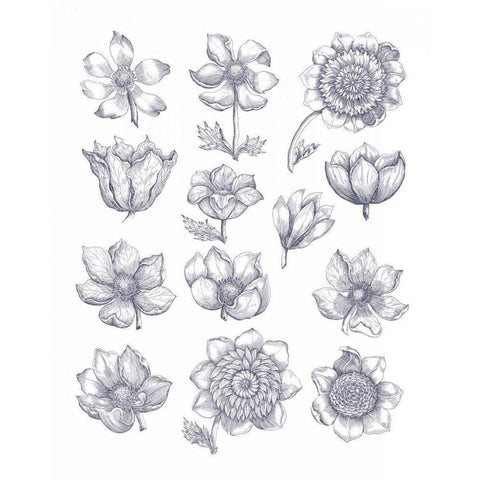 Anemone Plate I Blue White Modern Wood Framed Art Print by Wild Apple Portfolio