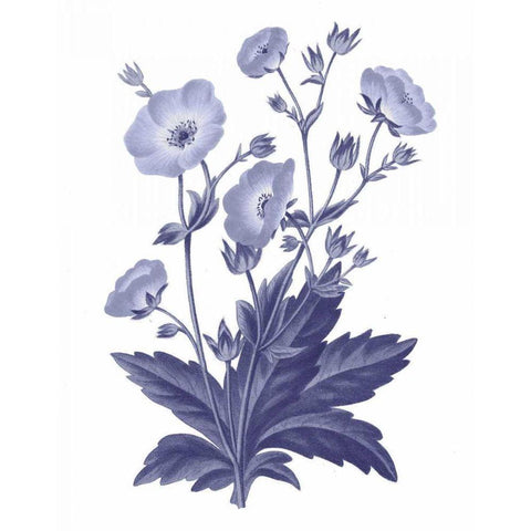 Dark Blue Botanical VI White Modern Wood Framed Art Print by Wild Apple Portfolio