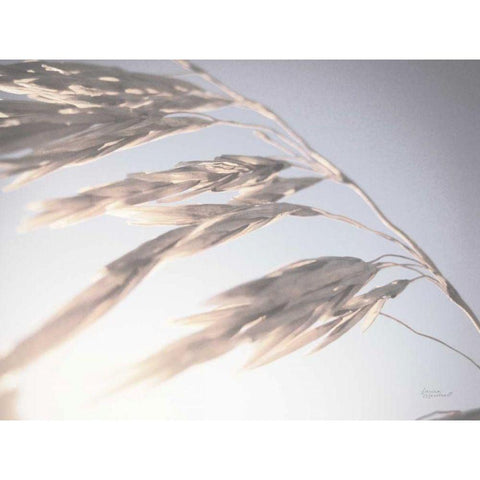 Windy Wheat Fields II Light Gold Ornate Wood Framed Art Print with Double Matting by Marshall, Laura