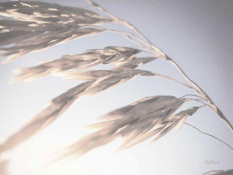 Windy Wheat Fields II Light Black Ornate Wood Framed Art Print with Double Matting by Marshall, Laura