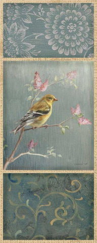 Female Goldfinch - Wag Black Ornate Wood Framed Art Print with Double Matting by Nai, Danhui