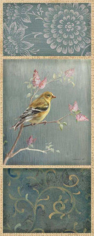 Female Goldfinch - Wag White Modern Wood Framed Art Print with Double Matting by Nai, Danhui