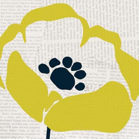 Pop Art Floral III Yellow Newsprint White Modern Wood Framed Art Print by Wild Apple Portfolio