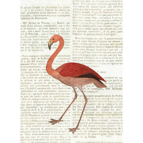 Flying Flamingo No Balloons White Modern Wood Framed Art Print by Schlabach, Sue