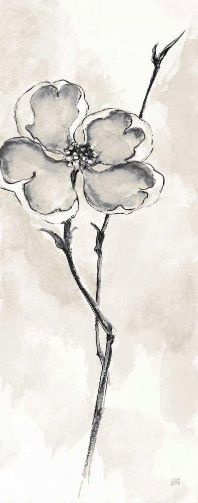 Image Only