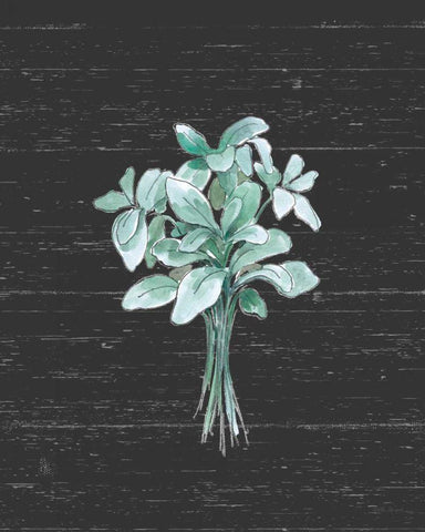 Farmhouse Cotton VI Black No Words White Modern Wood Framed Art Print with Double Matting by Grove, Beth